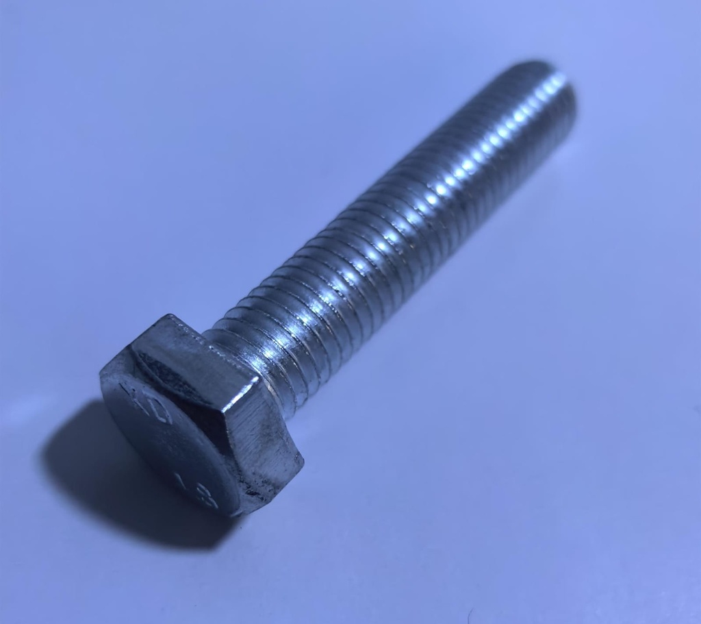 HEX BOLT GI - (16X120)