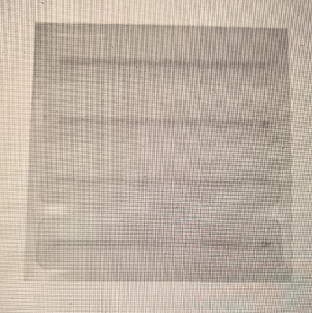 LYG 60X60 LED PANEL LIGHT 120W 220-240V 8000K-CHINA/A120