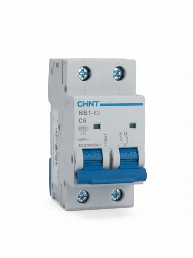  CHINT BREAKER NB1-63 2P C6A 